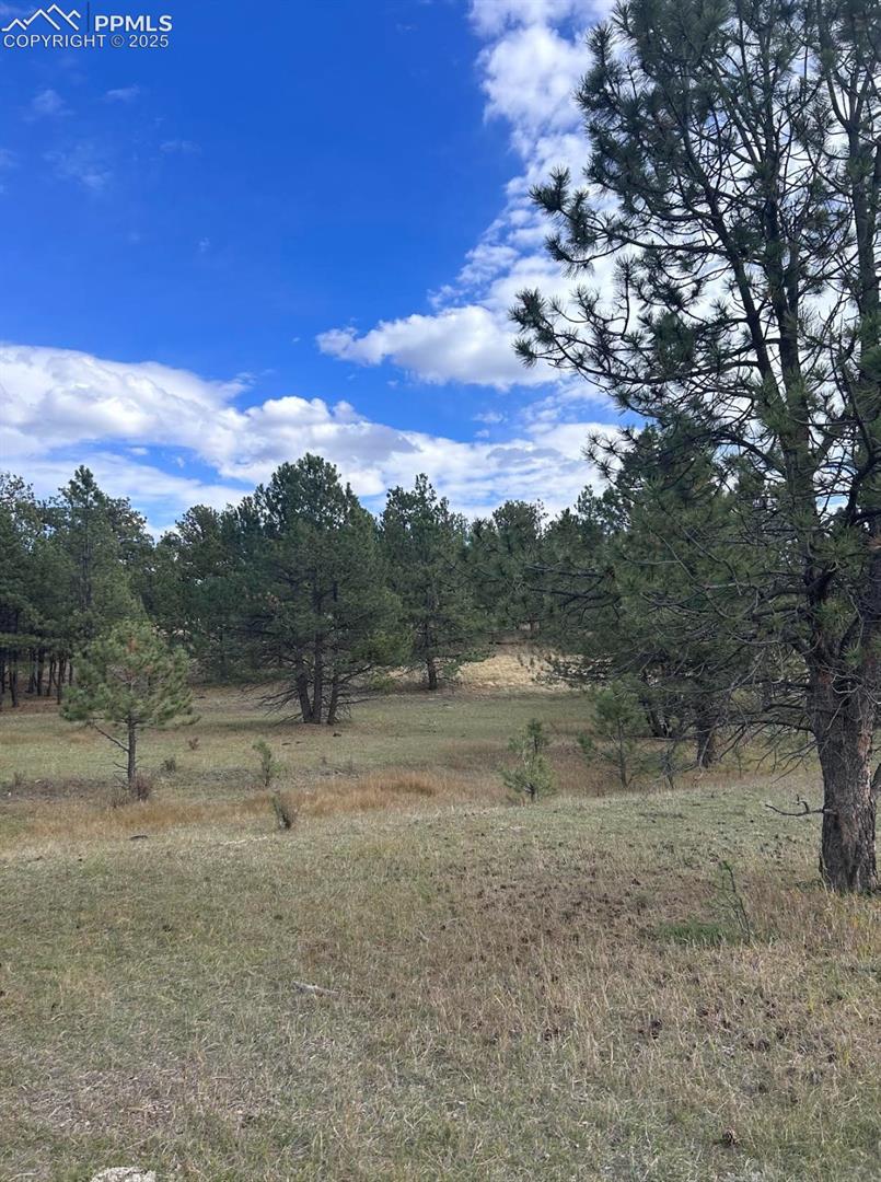 Land in Florissant 4