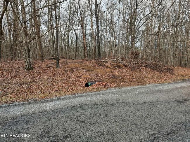75 Renegade Mountain Pkwy, Home with 0 bedrooms, 0 bathrooms and null parking in Crab Orchard TN | Image 10