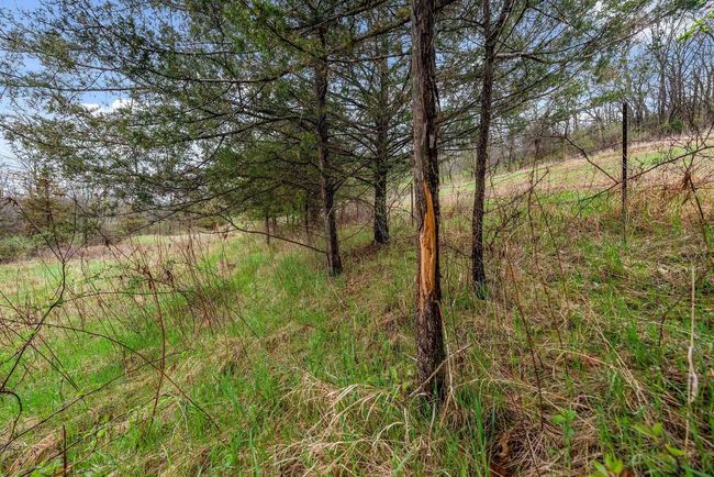 36480 Bouska Rd, Home with 0 bedrooms, 0 bathrooms and null parking in Prairie Du Chien WI | Image 24