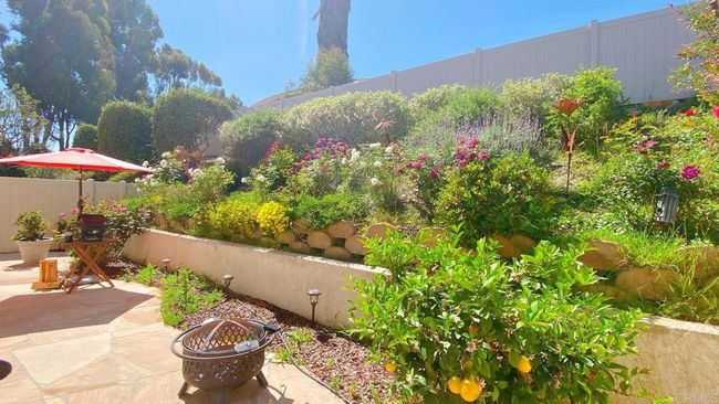 Backyard in the Spring | Image 22