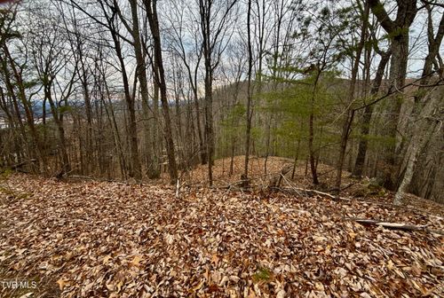 lot-219-7/Ac Pinnacle Pt, Mooresburg, TN, 37811 | Card Image