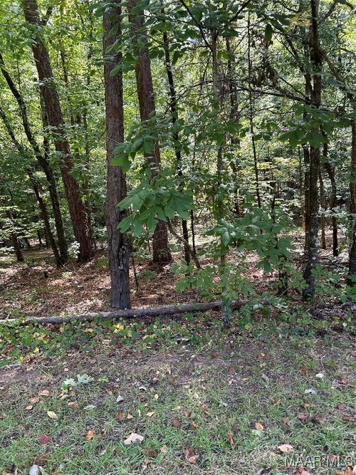 Lot 102 Beach Island Trace, DADEVILLE, AL, 36853 | Card Image