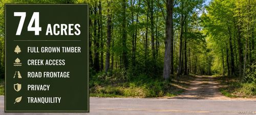 0 County Road 4, Greensboro, AL, 36744 | Card Image