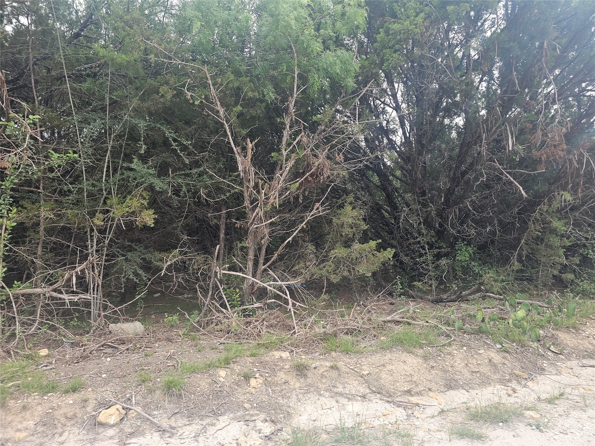 Land in Whitney