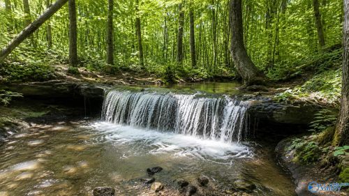 58 Acres Naples Lane, Arab, AL, 35016 | Card Image