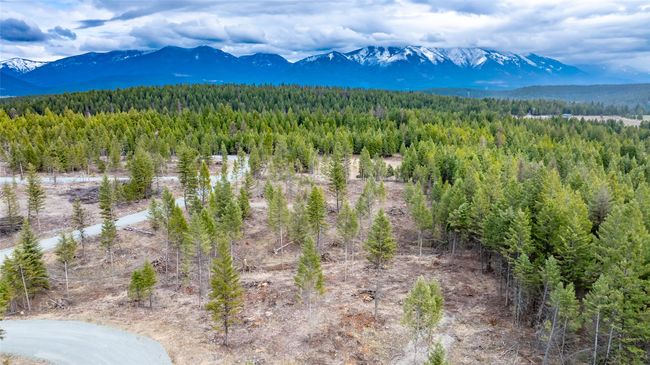 32 Osprey Loop, Home with 0 bedrooms, 0 bathrooms and null parking in Fortine MT | Image 9