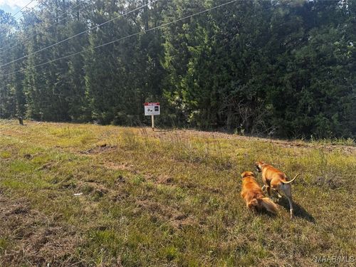 0 Country Ln, Boligee, AL, 35443 | Card Image