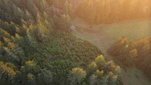 45721 U.S. 101, Langlois, OR, 97450 | Card Image