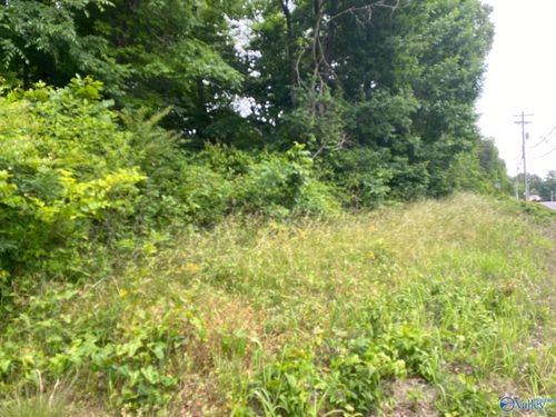 Lot 16 Highway 227, Guntersville, AL, 35976 | Card Image