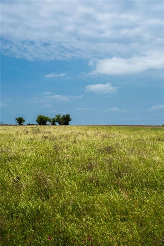6509 Randermann Rd, Home with 0 bedrooms, 0 bathrooms and null parking in Brenham TX | Image 9