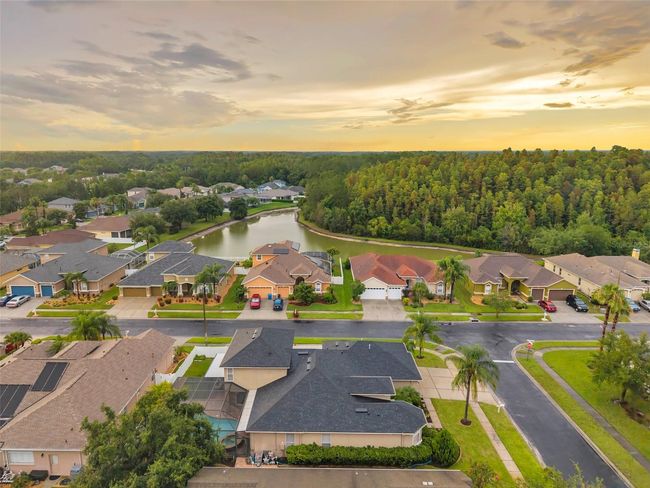 31646 Baymont Loop, House other with 5 bedrooms, 4 bathrooms and null parking in WESLEY CHAPEL FL | Image 78