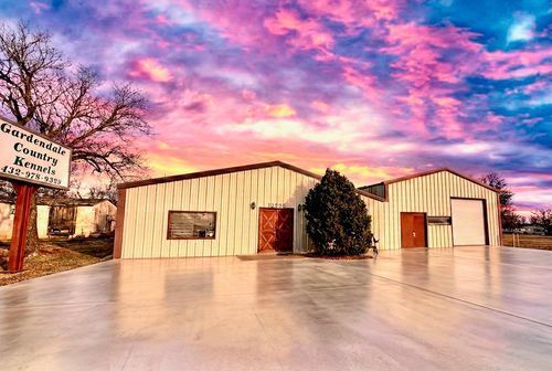 16396 N Hollyhock North Avenue, Gardendale, TX, 79758 | Card Image