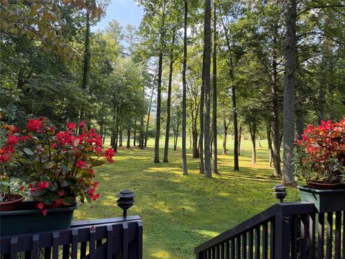 1005-252 Needlepine Lane, Sapphire, NC, 28774 | Card Image