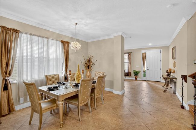 15246 Anguilla Isle Ave, House other with 4 bedrooms, 3 bathrooms and null parking in TAMPA FL | Image 4