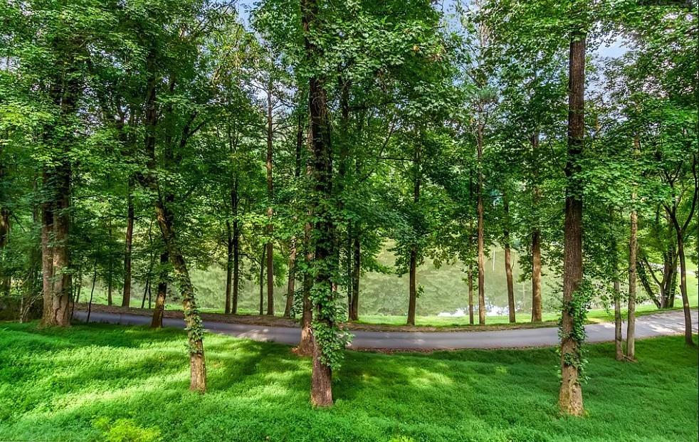 Residential in Ellijay 3