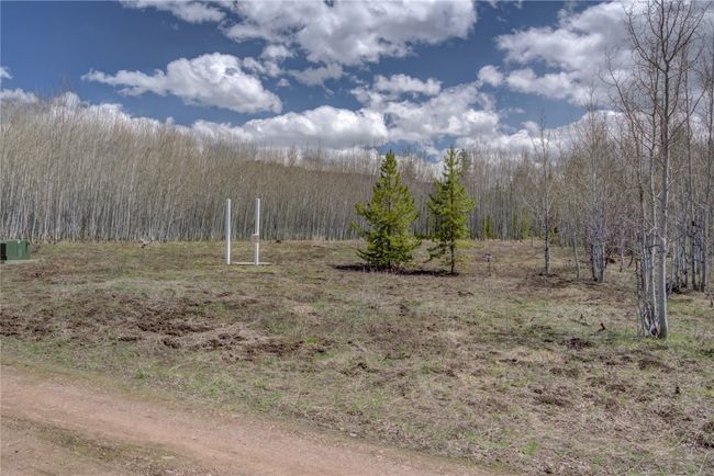 View of landscape featuring a wooded view | Image 11