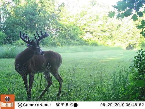 2510 Hamlin Avenue Ne, Saint Michael, MN, 55376 | Card Image