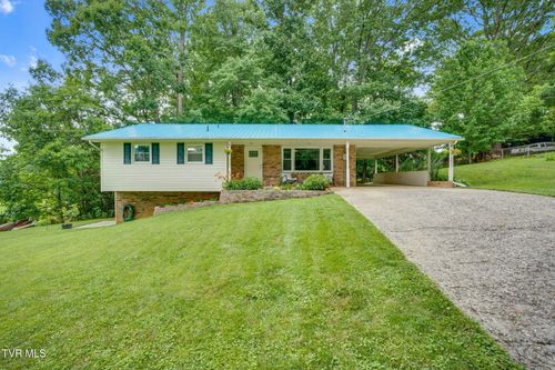 380 Lovelace Mountain View Loop, Fall Branch, TN, 37656-3303 | Card Image