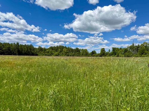V/L 5th Avenue, Middle Branch Township, MI, 49665 | Card Image