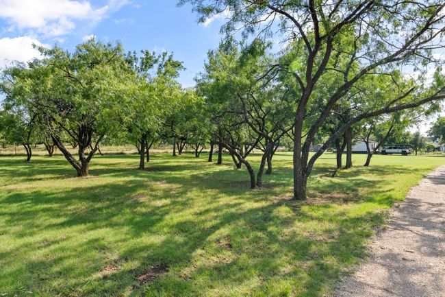 View of green lawn | Image 37