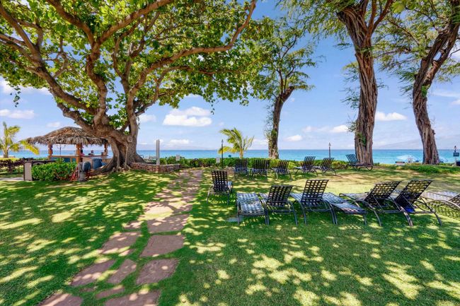 302 - 45 Kai Ala Dr, Condo with 1 bedrooms, 1 bathrooms and null parking in Lahaina HI | Image 35