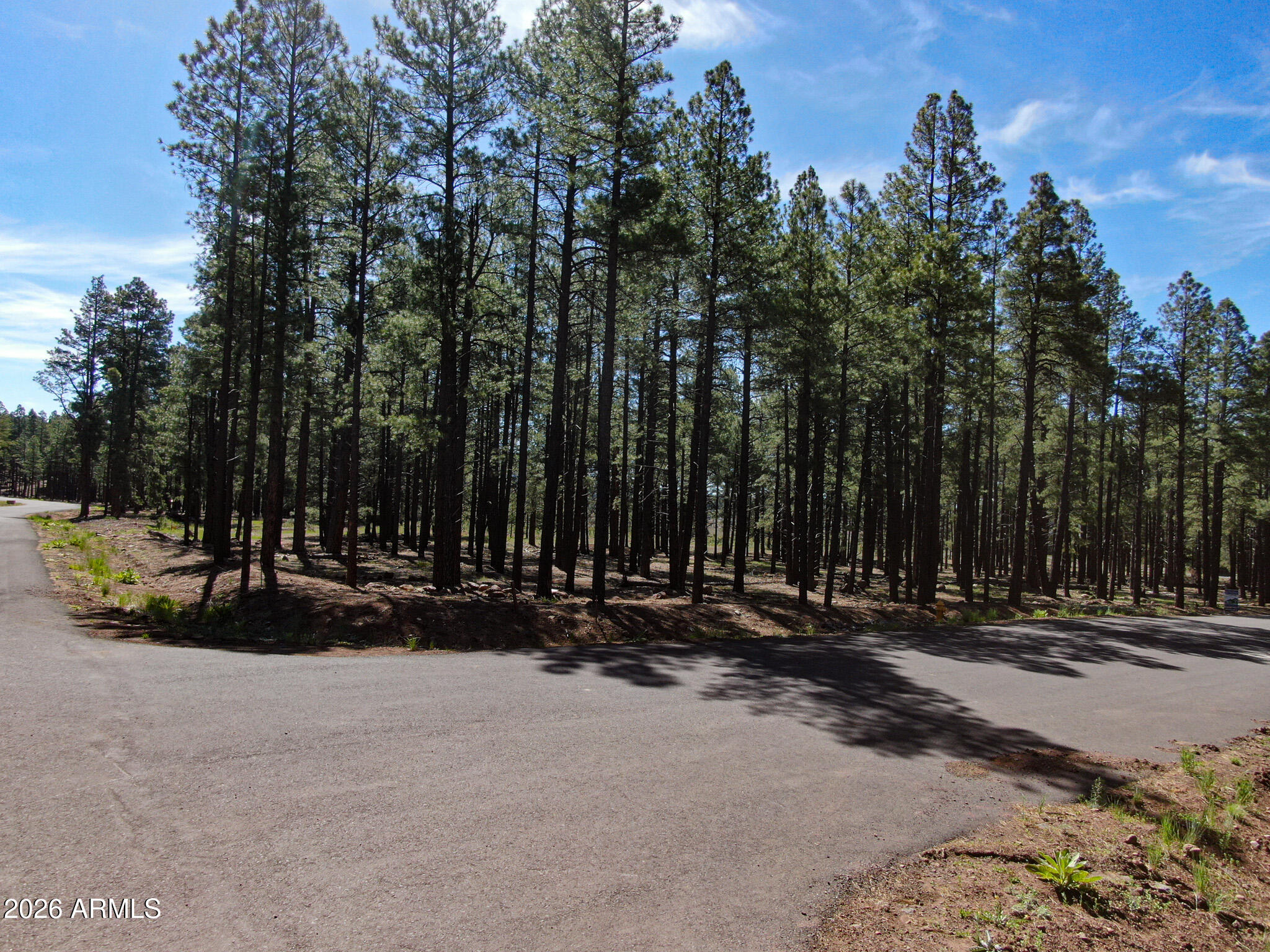 Land in Flagstaff 2