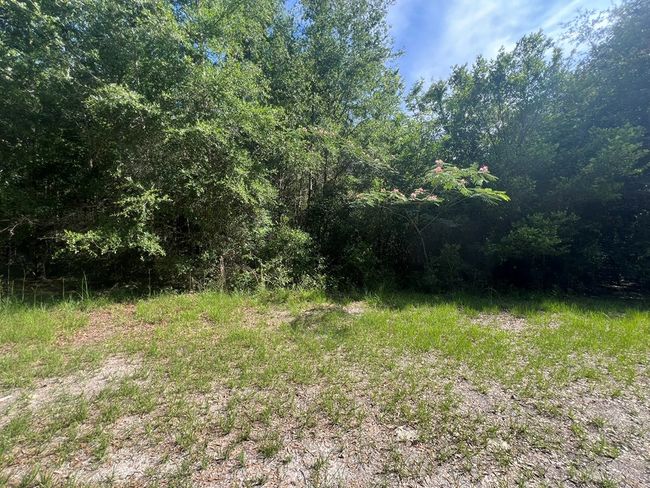 Lot 1 Old Wire Rd, Home with 0 bedrooms, 0 bathrooms and null parking in FORT WHITE FL | Image 10