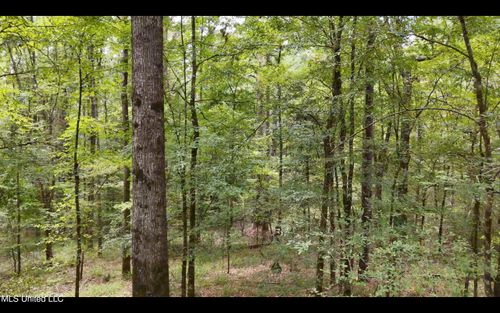 0 Shelby Rd, Hermanville, MS, 39086 | Card Image