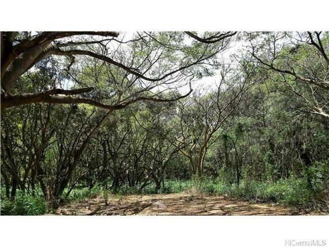 Large wooded areas or open grass lands, your choice. | Image 25