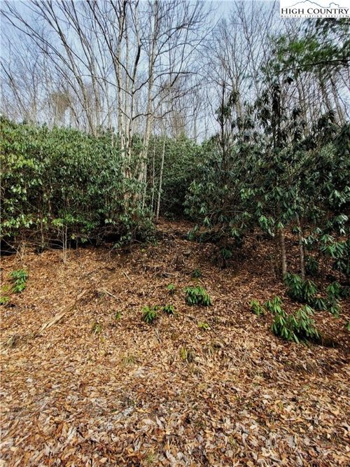 118 Deergrass Rd, Beech Mountain, NC, 28604-6085 | Card Image