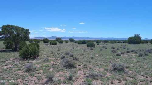 TBD Windsor Valley Ranch Lot 87, Concho Valley, AZ, 85924 | Card Image