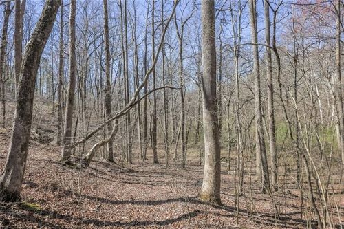 LOT 62 Cherokee Wood Hollow Dr, Ball Ground, GA, 30107-5721 | Card Image