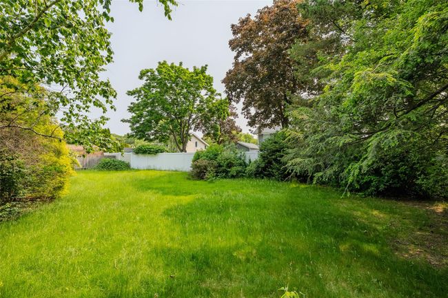 View of yard | Image 4