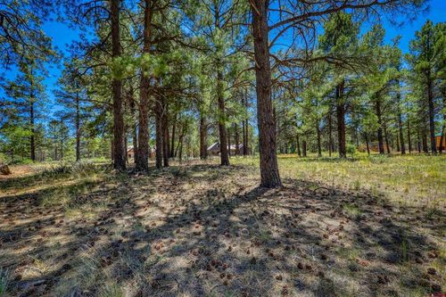 32 Monastery Ct, Pagosa Springs, CO, 81147 | Card Image