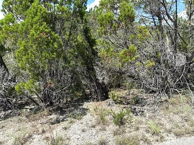 Land in Lago Vista