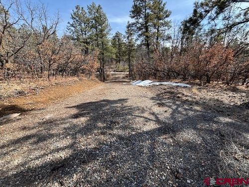 2308 Bull Elk Pl, Pagosa Springs, CO, 81147 | Card Image