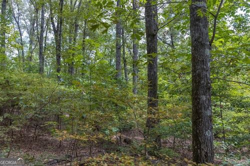 50+/- ACRES Pineville Road, Buena Vista, GA, 31803 | Card Image