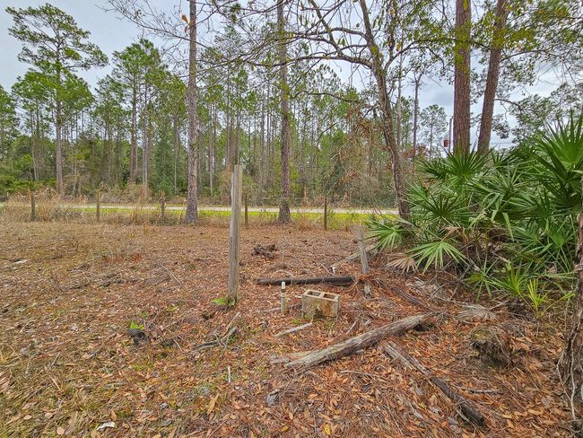 1718 Papaya St, Home with 0 bedrooms, 0 bathrooms and null parking in BUNNELL FL | Image 4