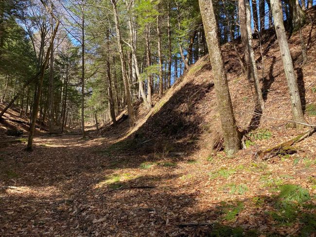1254 Route 5, House other with 8 bedrooms, 1 bathrooms and null parking in Springfield VT | Image 56