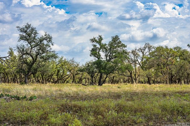 436 Stevens Ranch Rd, Home with 0 bedrooms, 0 bathrooms and null parking in Harper TX | Image 13