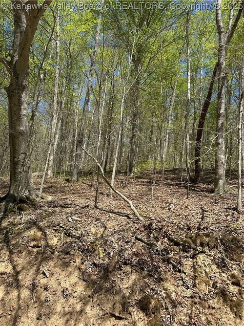 Lot #2 Sugartree Road, Alkol, WV, 25501 | Card Image