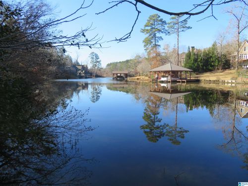 201202203-Lots 201, 202 Big Y Cove Loop, ROCKFORD, AL, 35136 | Card Image