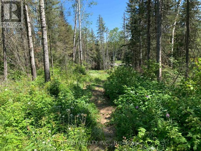 PCL8547 Hwy 101 Highway W, Home with 0 bedrooms, 0 bathrooms and null parking in Timmins (MTJ - 101 West) ON | Image 33