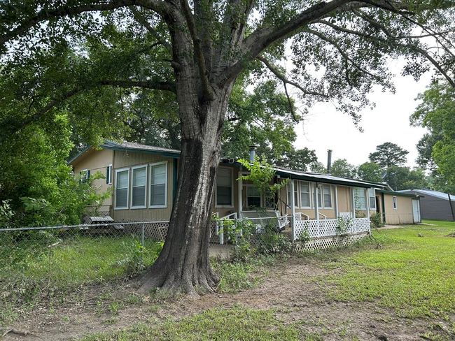Mature Shade Trees | Image 35