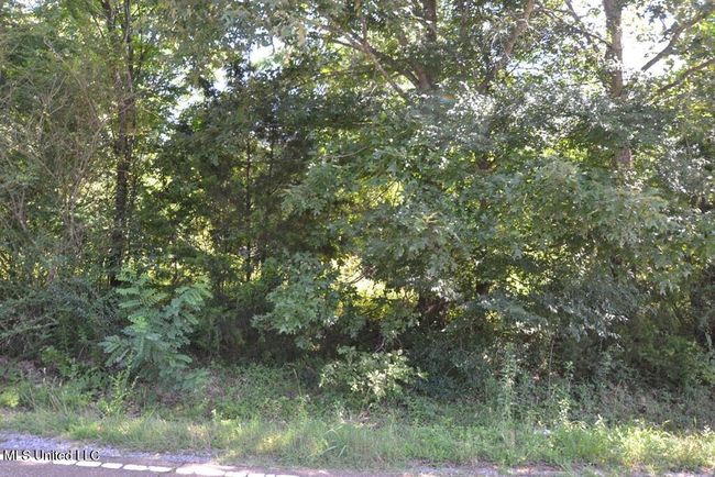 Road Frontage | Image 7
