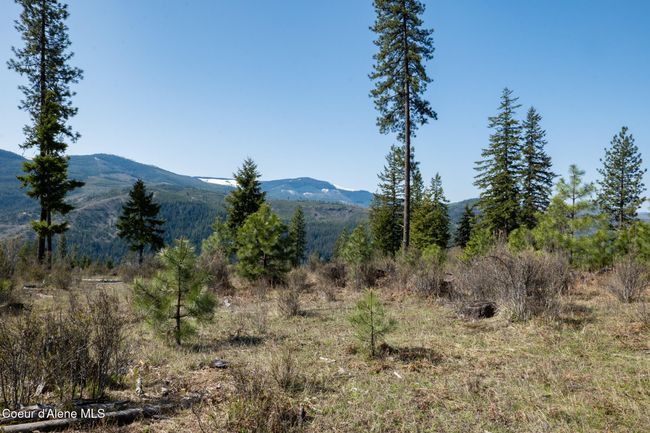 262 North Side Road, Home with 0 bedrooms, 0 bathrooms and null parking in Calder ID | Image 59