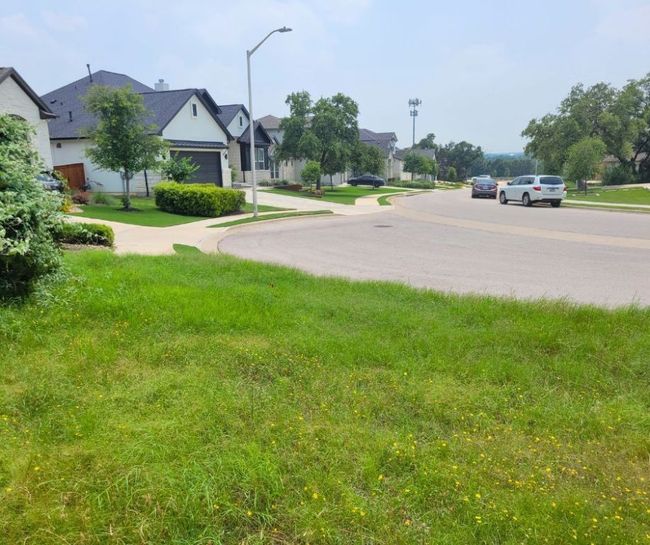 View toward the street #2 | Image 15