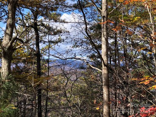 96-TBD Buck Mountain Road, Purlear, NC, 28665 | Card Image