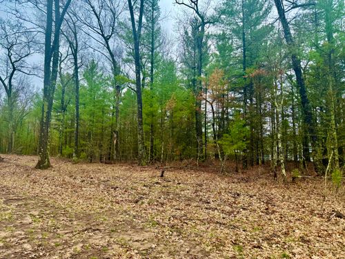 19-1127 Chicago Dr, Whitehall, MI, 49461-9572 | Card Image