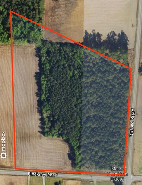 TBD Duford Rd., Nichols, SC, 29581 | Card Image